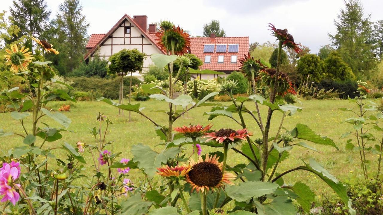 Villa Orlik Barlinek Bagian luar foto