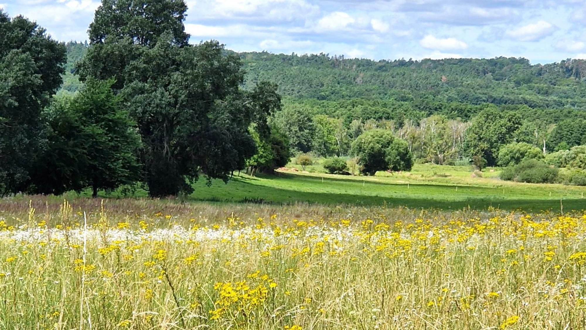 Villa Orlik Barlinek Bagian luar foto