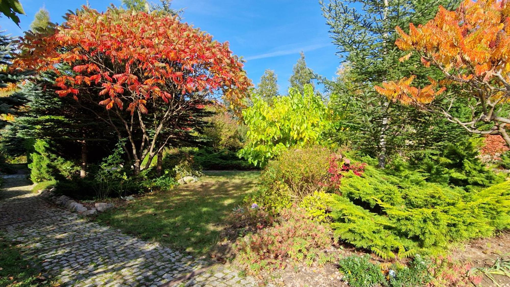Villa Orlik Barlinek Bagian luar foto