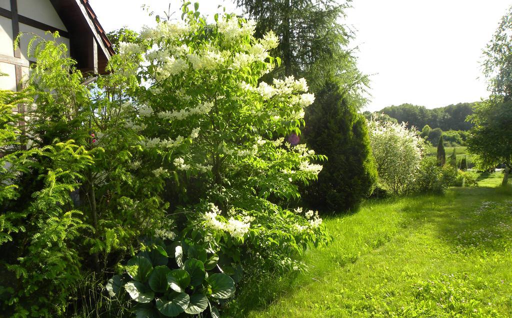 Villa Orlik Barlinek Bagian luar foto