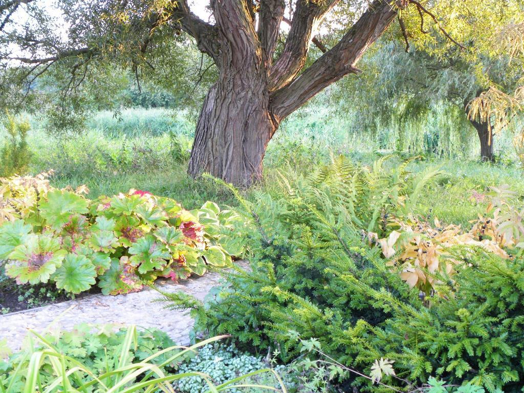 Villa Orlik Barlinek Bagian luar foto
