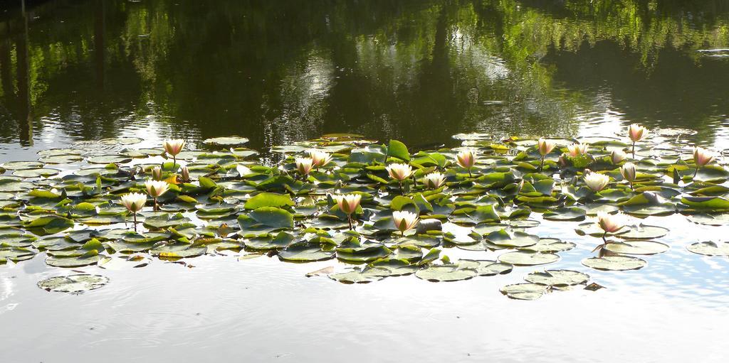 Villa Orlik Barlinek Bagian luar foto