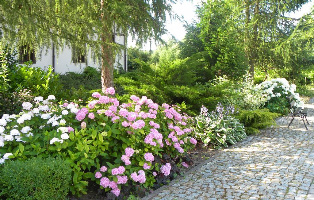 Villa Orlik Barlinek Bagian luar foto