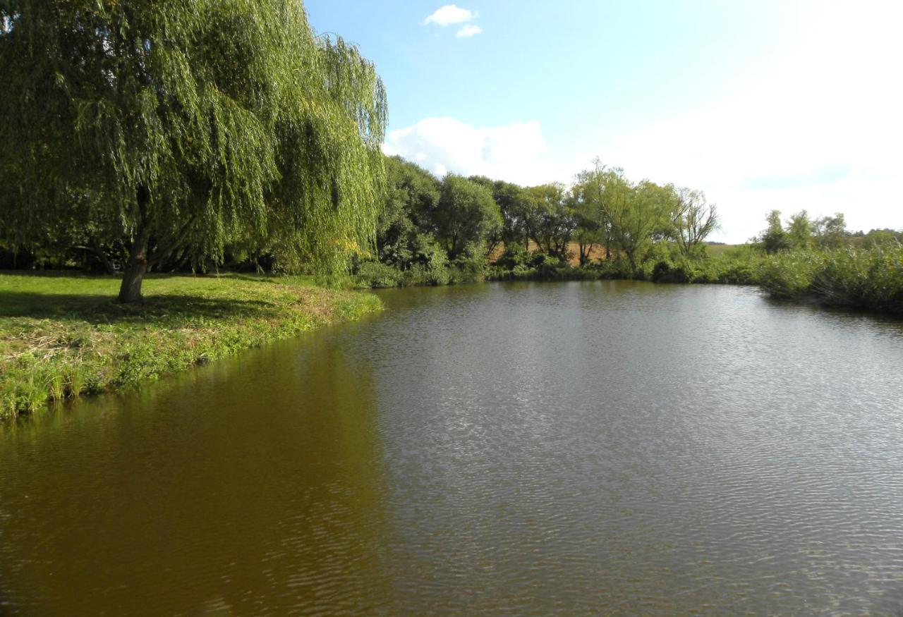 Villa Orlik Barlinek Bagian luar foto