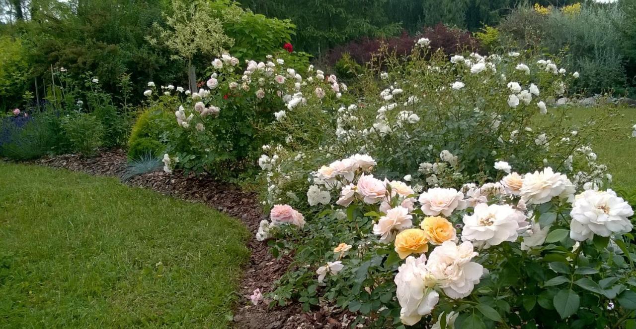 Villa Orlik Barlinek Bagian luar foto